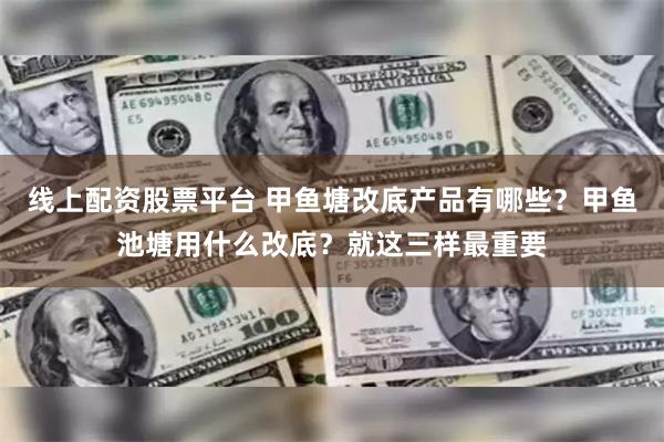 线上配资股票平台 甲鱼塘改底产品有哪些？甲鱼池塘用什么改底？就这三样最重要