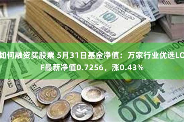 如何融资买股票 5月31日基金净值：万家行业优选LOF最新净值0.7256，涨0.43%