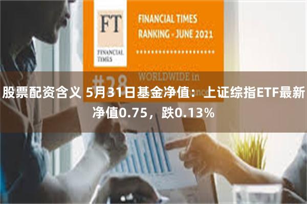 股票配资含义 5月31日基金净值：上证综指ETF最新净值0.75，跌0.13%