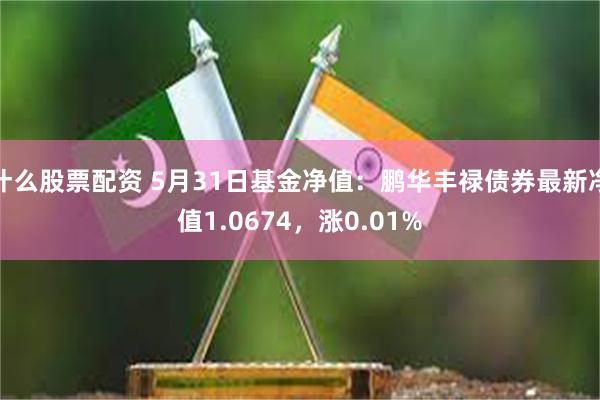 什么股票配资 5月31日基金净值：鹏华丰禄债券最新净值1.0674，涨0.01%