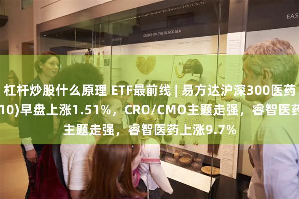 杠杆炒股什么原理 ETF最前线 | 易方达沪深300医药ETF(512010)早盘上涨1.51%，CRO/CMO主题走强，睿智医药上涨9.7%