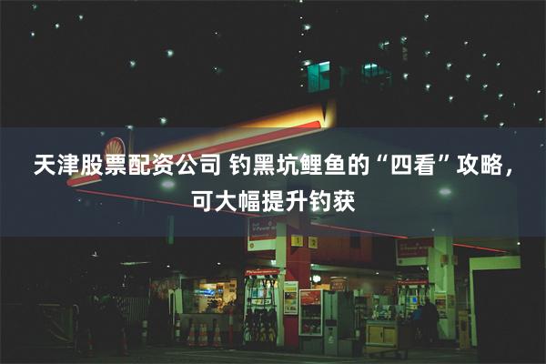 天津股票配资公司 钓黑坑鲤鱼的“四看”攻略，可大幅提升钓获