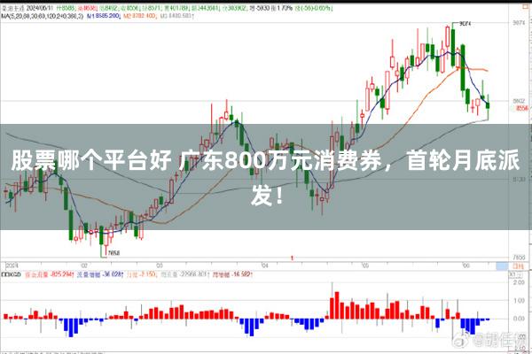 股票哪个平台好 广东800万元消费券，首轮月底派发！