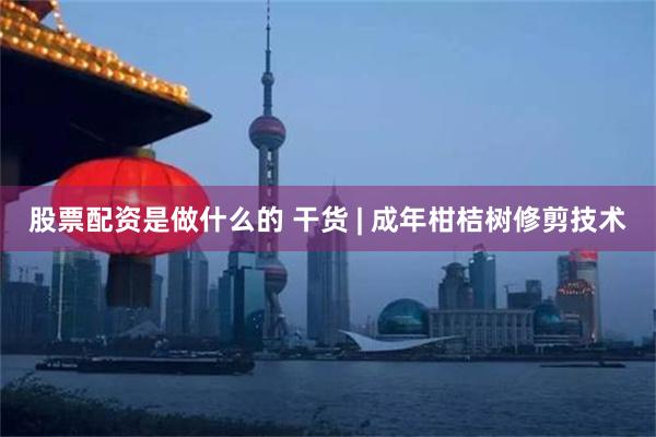 股票配资是做什么的 干货 | 成年柑桔树修剪技术