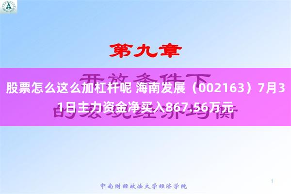 股票怎么这么加杠杆呢 海南发展（002163）7月31日主力资金净买入867.56万元