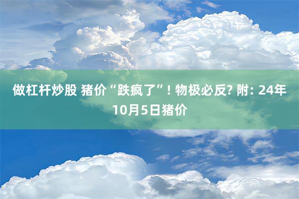 做杠杆炒股 猪价“跌疯了”! 物极必反? 附: 24年10月5日猪价