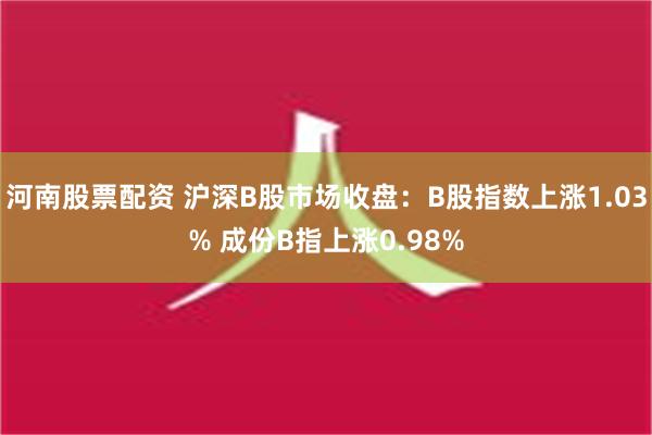 河南股票配资 沪深B股市场收盘：B股指数上涨1.03% 成份B指上涨0.98%