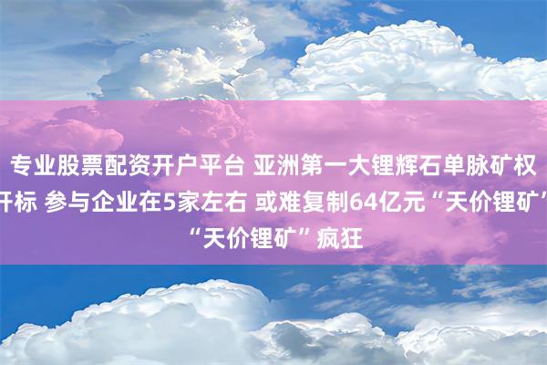 专业股票配资开户平台 亚洲第一大锂辉石单脉矿权今日开标 参与企业在5家左右 或难复制64亿元“天价锂矿”疯狂