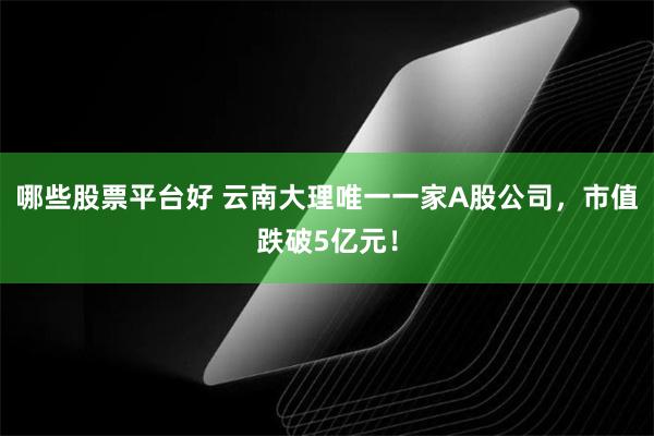 哪些股票平台好 云南大理唯一一家A股公司，市值跌破5亿元！