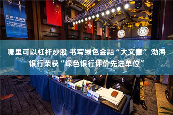 哪里可以杠杆炒股 书写绿色金融“大文章” 渤海银行荣获“绿色银行评价先进单位”