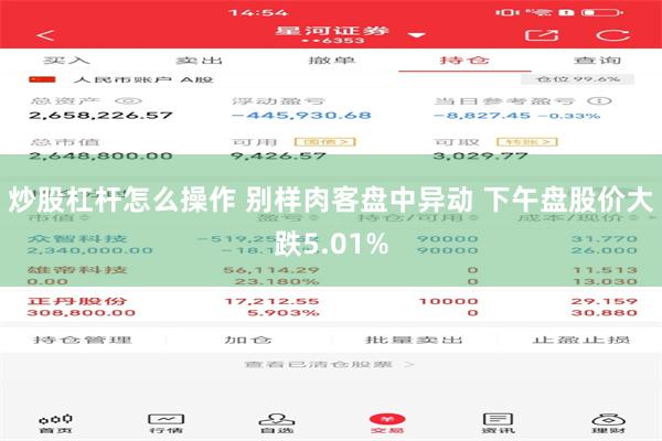 炒股杠杆怎么操作 别样肉客盘中异动 下午盘股价大跌5.01%