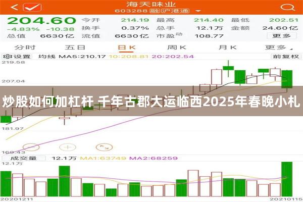 炒股如何加杠杆 千年古郡大运临西2025年春晚小札