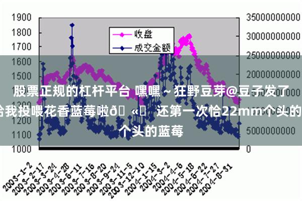 股票正规的杠杆平台 嘿嘿～狂野豆芽@豆子发了芽 给我投喂花香蓝莓啦🫐 还第一次恰22mm个头的蓝莓